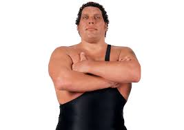 wwe andre the giant